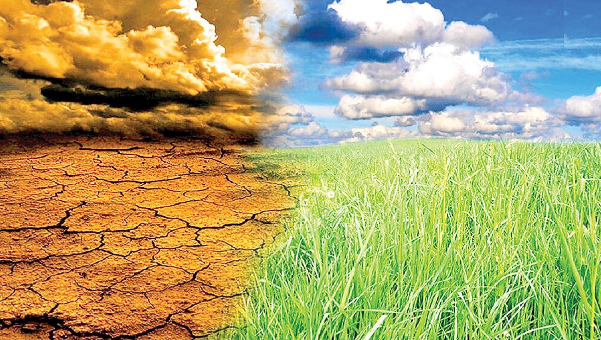 تلاش جهانی برای مقابله با افزایش سطح خشکسالی