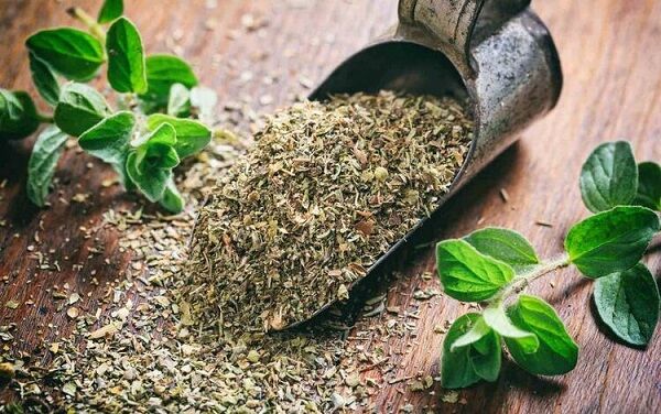 مصرف آویشن برای این افراد ممنوع
