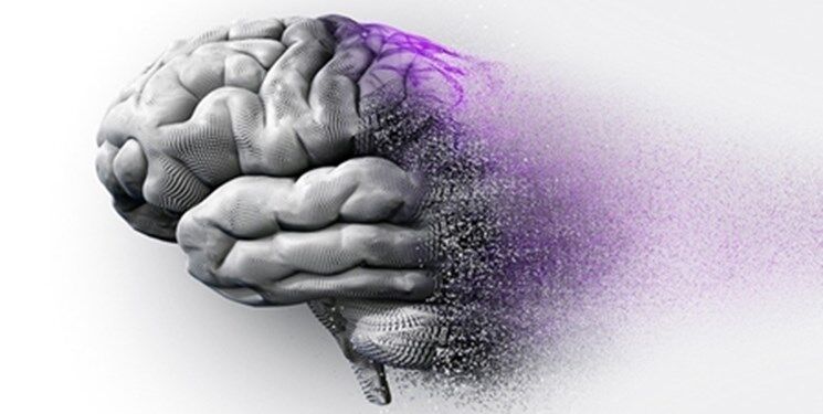 یک عامل مهم در ابتلا به بیماری زوال عقل