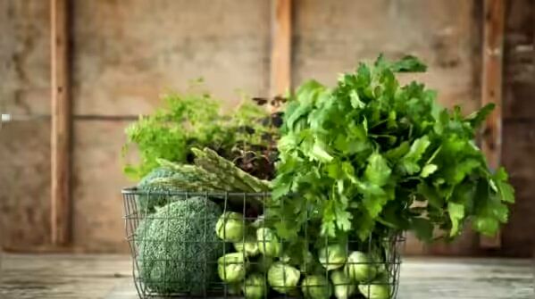 10 خوراکی مهم رژیم مدیترانه‌ای برای طول عمر بیشتر 6
