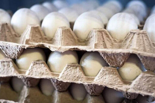 بازار تخم مرغ آرام می‌ گیرد