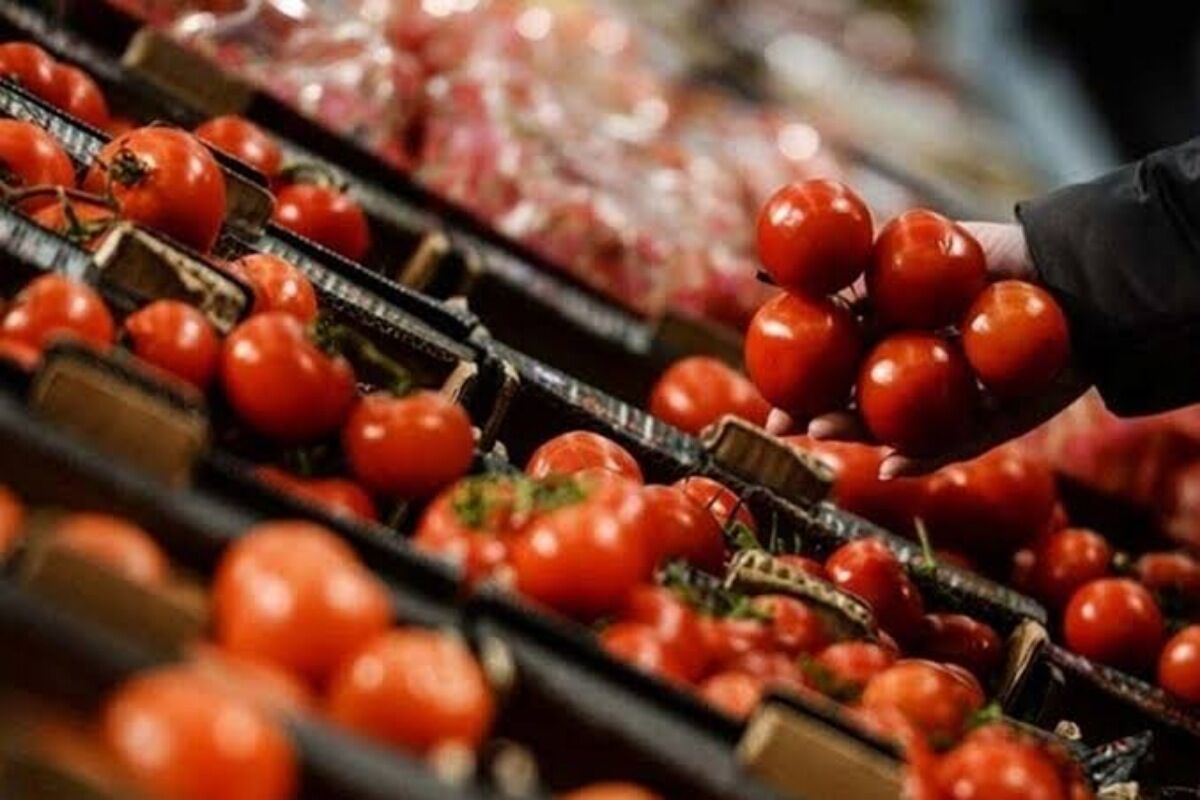 دلیل گرانی گوجه فرنگی چیست؟/ قیمت‌های جدید گوجه فرنگی، پیاز و سیب‌زمینی