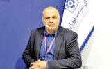 ستون فقرات توسعه