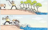 عاقبت جنگل‌خواری