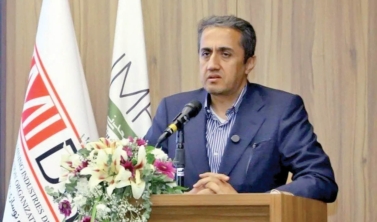 هم‏‌افزایی معدنی با افغانستان