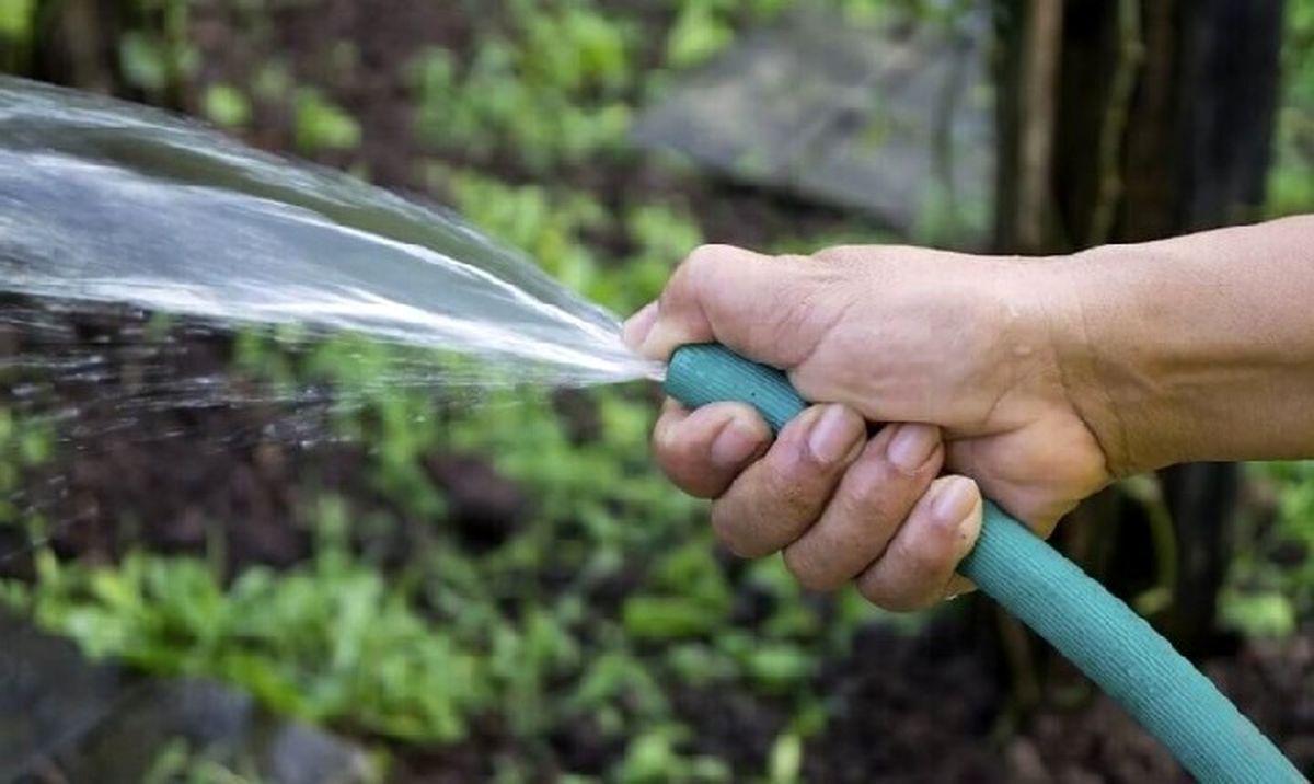 به 230 هزار خانواده بدمصرف اخطار دادیم