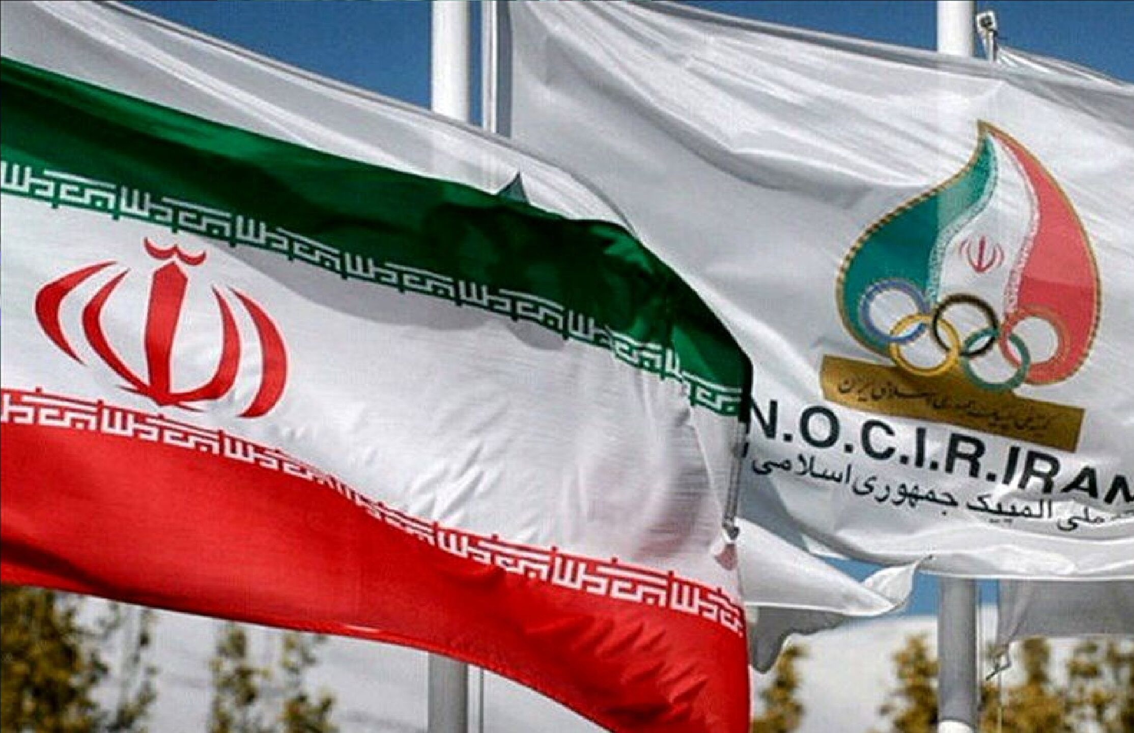 جزئیات پرداختی های کمیته المپیک به فدراسیون ها در 1403 + جدول