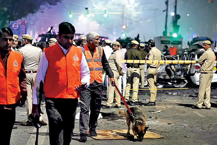 شبه‌قاره در شوک