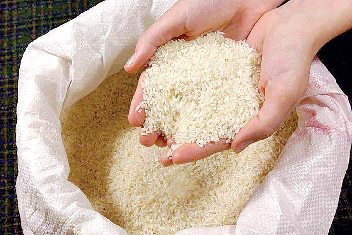 عوامل آشفتگی بازار برنج