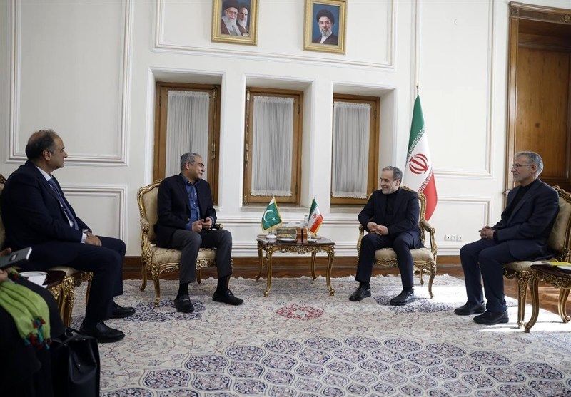 وزیر کشور پاکستان با عراقچی دیدار کرد