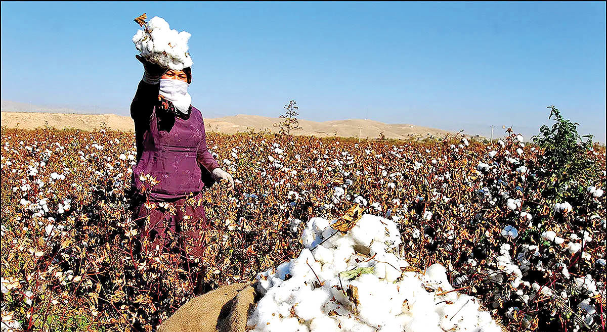 مشوق خشکسالی