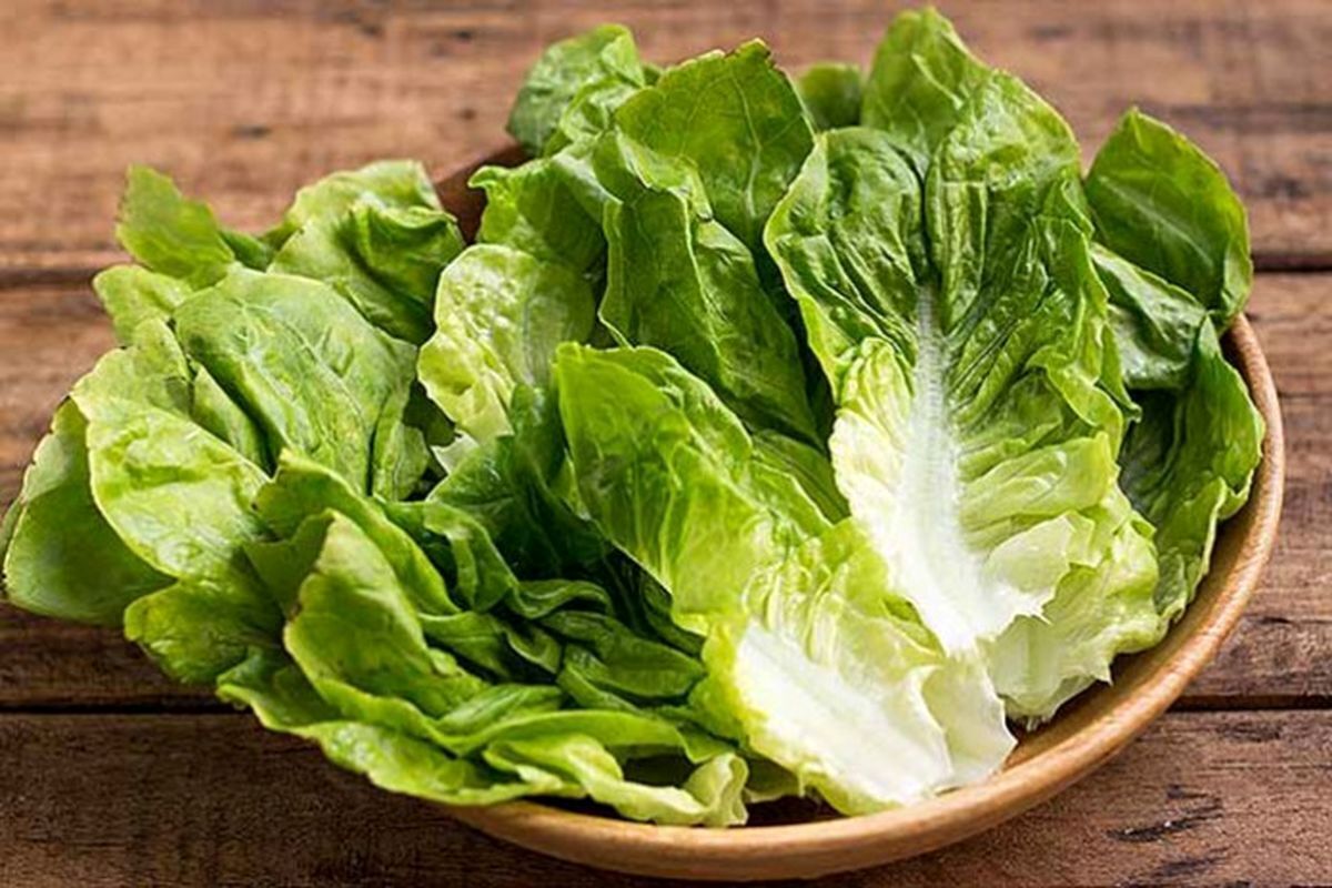 این کاهو را اصلاً به خانه نیاورید