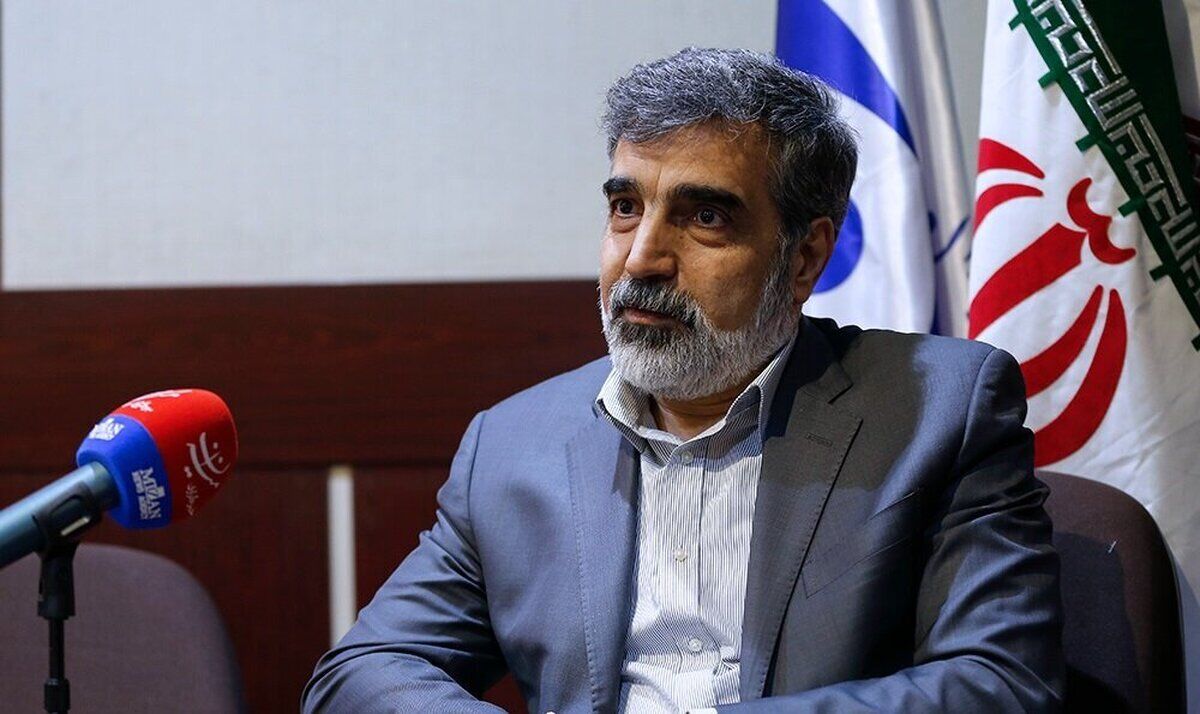 واکنش کمالوندی به عدم صدور روادید برای سفر اسلامی به وین/ باید در برابر زورگویی و فشار سیاسی ایستادگی کنیم

