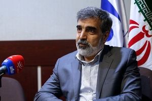 اتفاقی در تأسیسات فردو روی نداده است؛ آقای اسلامی هم در نطنز بودند