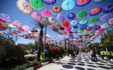 نقش بخش خصوصی در جشنواره کیش