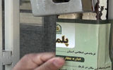 پلمب کافه‌ها ادامه دارد؟