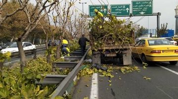 رسیدگی به درختان بزرگراه‌ها در «بدترین ساعت ممکن»/راهبر «ترافیک تهران» عامل ترافیک‌ساز شهر می‌شود؟