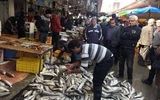 سرانه مصرف ماهی در لرستان ۶ کیلوگرم از متوسط کشور کمتر است