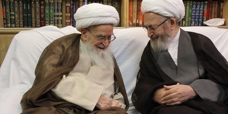 دیدار و گفت‌وگوی آیات عظام سبحانی و صافی