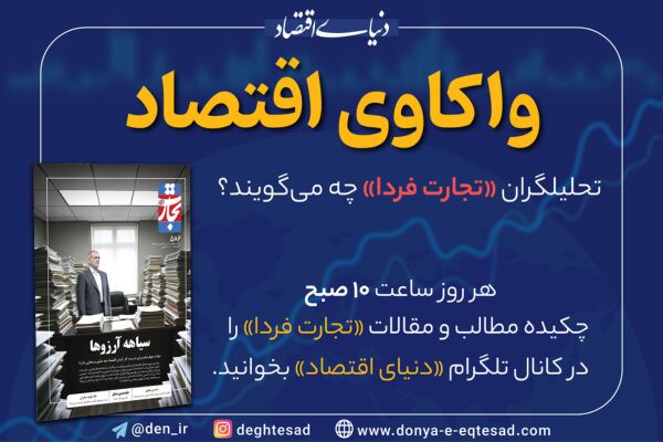چرا دولت در تامین کالاهای عمومی شکست خورده است؟