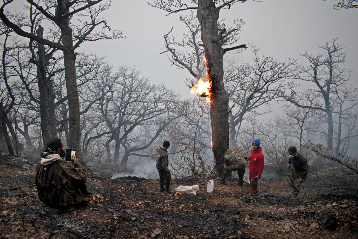 «الیت» خاکستر شد