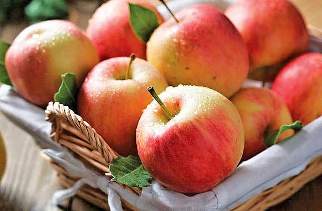 خرید 30 هزار تن سیب صنعتی از باغداران آذربایجان غربی