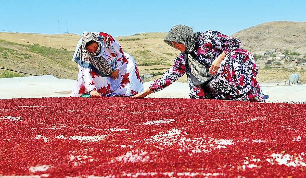 ظرفیت گردشگری شهر «سماق»