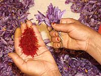 دعوت از ژاپنی‌ها برای سرمایه‌گذاری در تولید و تجارت زعفران ایران