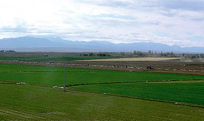 جرائم پیش‌بینی شده برای متخلفان ساخت‌وساز در زمین‌های زراعی