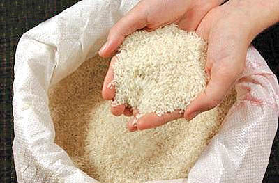 قیمت برنج چمپا و صدری