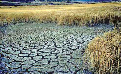 خشکسالی باعث قطع آب کشاورزان شد