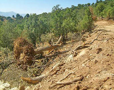 مدیریت بحران در راستای دستیابی به توسعه پایدار