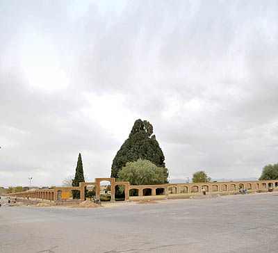 سرو ابر کوه  نگهبان می‌خواهد - ۱۸ آبان ۹۱