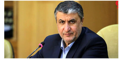 هشدار صریح سازمان انرژی اتمی به شورای حکام/ قطعنامه صادر کنید پاسخ خواهیم داد