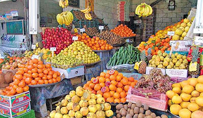 سرمازدگی محصولات تابستانی در برخی نقاط کشور