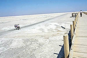 «کاشت ممنوع» برای نجات دریاچه ارومیه