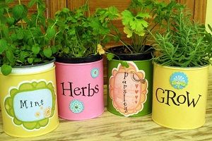 روش کاشت سبزیجات و گیاهان ارگانیک در خانه!