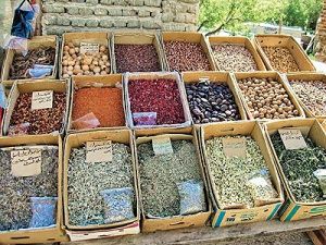 آذربایجان غربی؛ داروخانه گیاهی ایران - ۱۰ مهر ۹۳