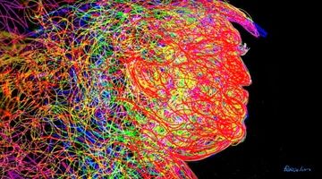 پارادوکس تاب‌آوری اقتصادی و آشوب سیاسی
