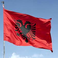 اتفاقی عجیب / نماینده پارلمان آلبانی با بمب دودزا جلسه را به هم ریخت! + فیلم