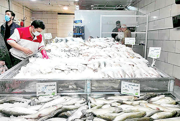 روند آرام قیمت گوشت و جهش ماهی