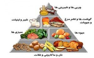 گزارش شورای عالی انستیتو خواربار و تغذیه ایران