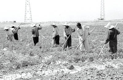 کشاورزی و آب در بودجه