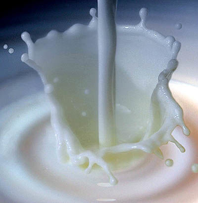 واکنش تولیدکنندگان شیر به اصلاح قیمت‌ها