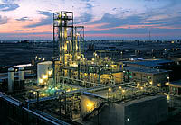 دولت و مجلس با اصلاح قانون کار مشکل بیکاری را حل کنند