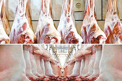 بازداشت هیات‌مدیره  شرکت گوشت ایران