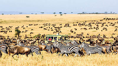 تجربه تانزانیا از درآمدزایی از پارک‌های ملی