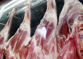 خبر عجیب معاون گمرک از تحویل 40 تن از گوشت‌های مغولی برای پودر شدن!