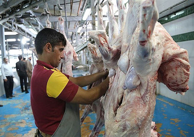 ثبات نسبی قیمت گوشت گوسفندی 