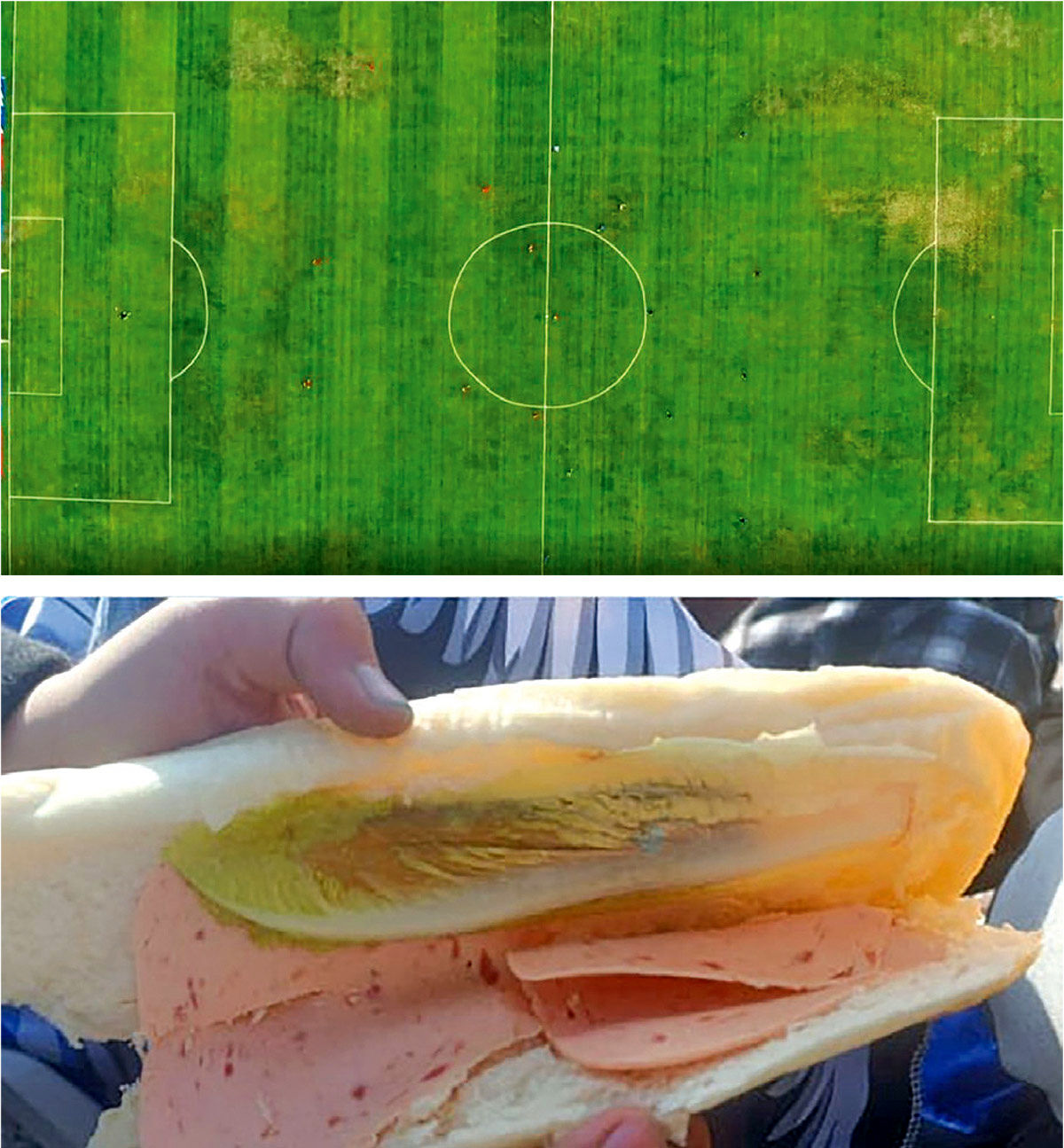 عجب مردم کـم‌توقعی!